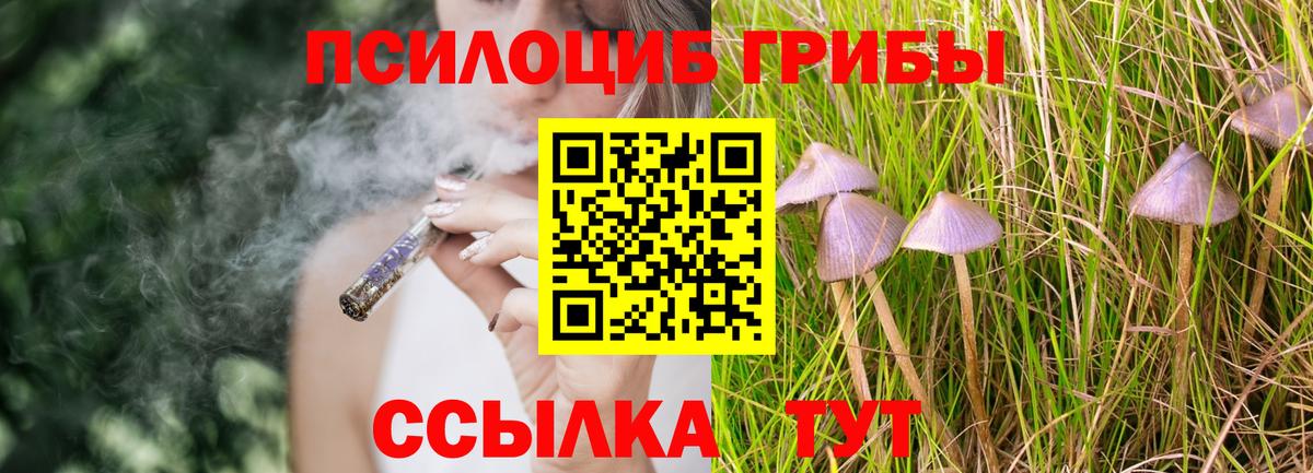 Псилоцибиновые грибы мухоморы  Вход с VPN  Качканар 