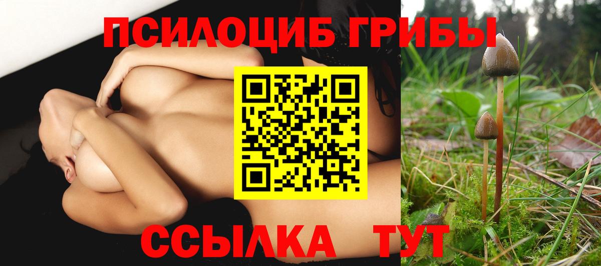 Псилоцибиновые грибы прущие грибы Качканар